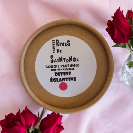 bougie divine églantine rose ancienne