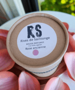 Bougie rose anglaise Grasse