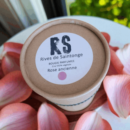 Bougie rose anglaise Grasse