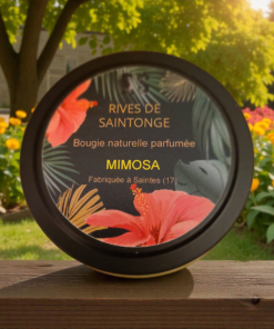 bougie mimosa cire naturelle soja