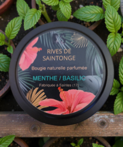 bougie menthe basilic