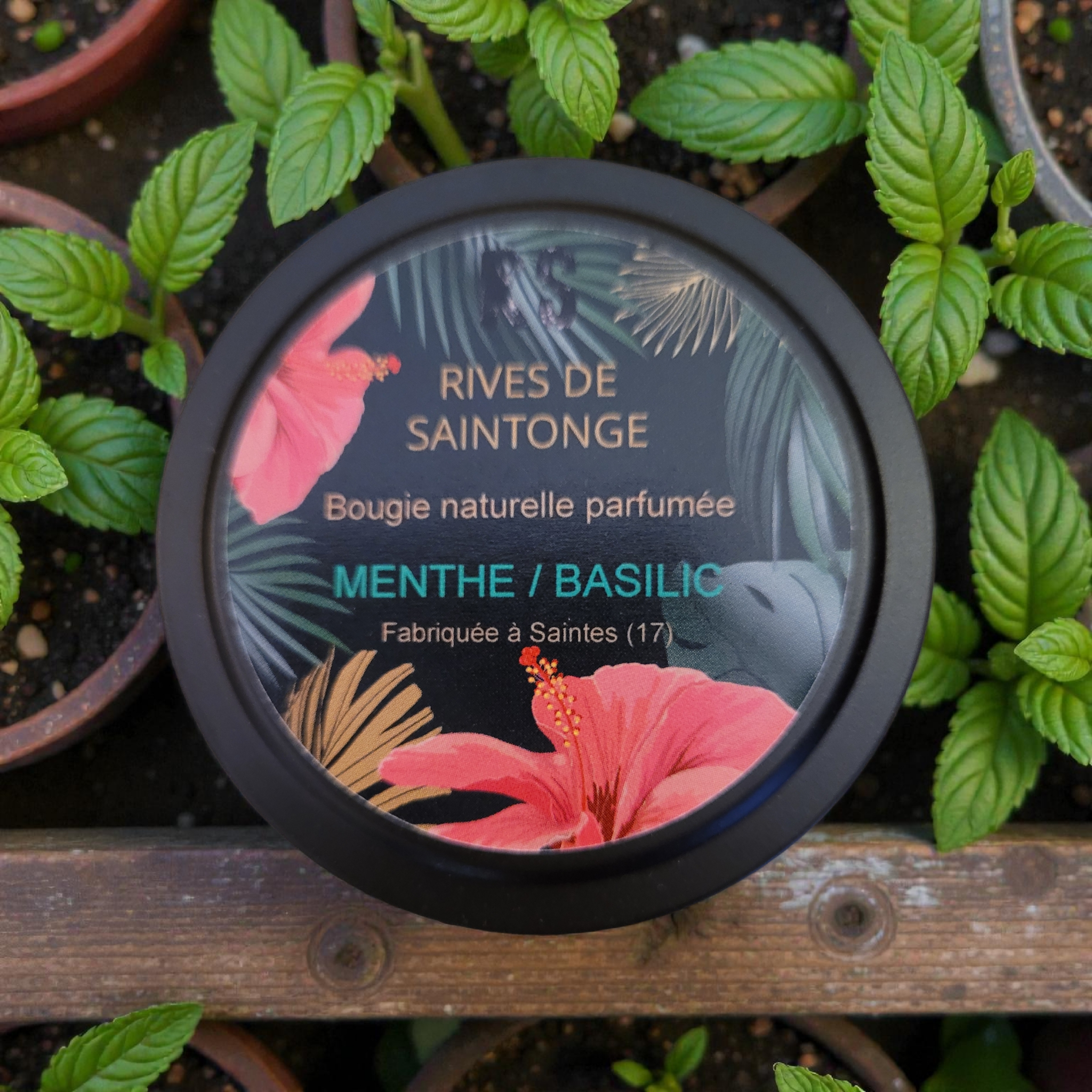 bougie menthe basilic