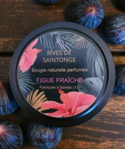 bougie figuier figue naturelle