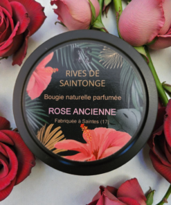 bougie naturelle rose ancienne rose anglaise