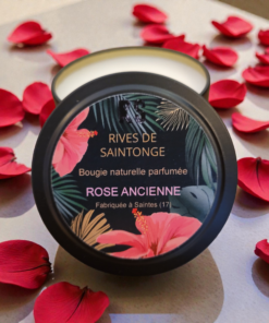 Bougie rose anglaise rose ancienne qui sent