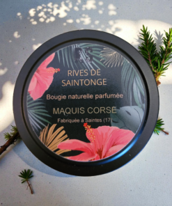 bougie thym romarin maquis Corse