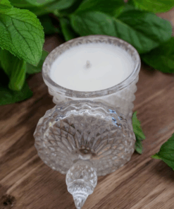 Bougie naturelle menthe et basilic