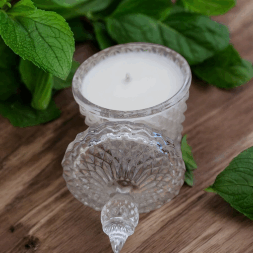 Bougie naturelle menthe et basilic