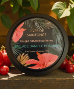 bougie tomate verte et cassis ballade dans le potager
