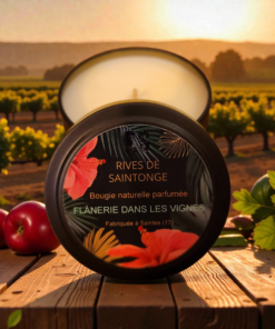 bougie flânerie dans les vignes raisin