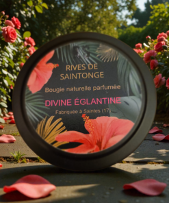 bougie rose ancienne divine églantine